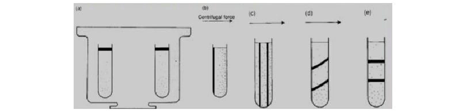 你知道離心機(jī)的原理及分類嗎？
